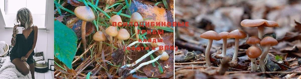 меф VHQ Балахна