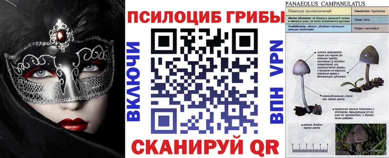 Купить где Спасск Галлюциногенные грибы прущие грибы