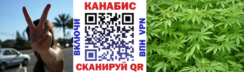 Купить  Спасск  Шишки марихуана марихуана 